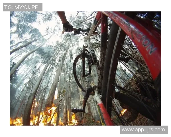 广州极限运动队与上海极限运动队赛后配合分析与战术总结